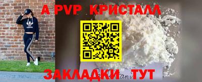 дживик Сланцы