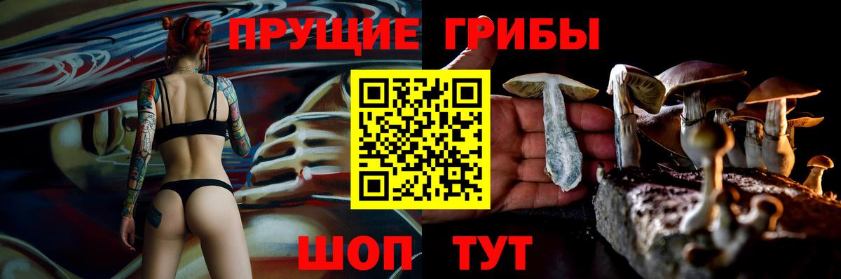Псилоцибиновые грибы прущие грибы  Галлюциногенные грибы Magic Shrooms  Петрозаводск  Вход с VPN 